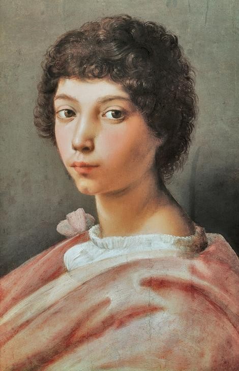 Raffael, Bildnis eines jungen Mannes (Jugend (Lebensalter),Kind,Kunst,Mensch,Renaissance,Portrait,Jüngling,Italienische Kunst,Knabe,Locke,Grübchen,Brustbild,Hochrenaissance)