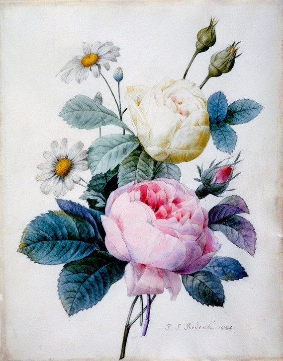 PIERRE-JOSEPH REDOUTÉ, Bouquet of Roses with Daisies, 1834 (Botanik, Blumen, Studie, Rosen,  Blüten, Knospen, Gänseblümchen, Blätter, Pflanze, Treppenhaus, Wohnzimmer, Wunschgröße, rosa/weiß)