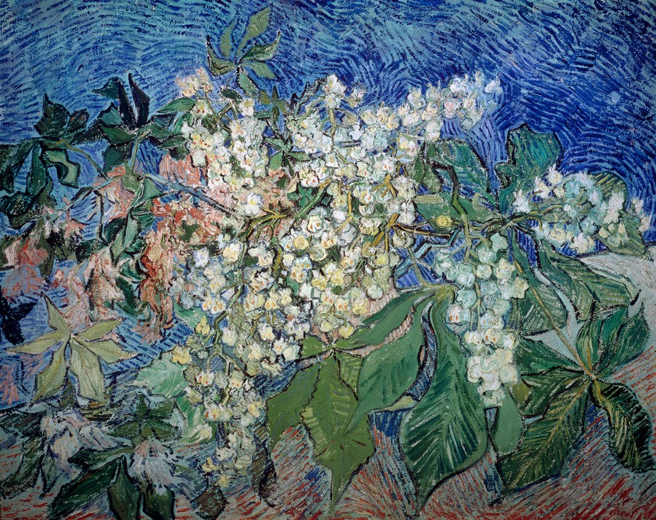 Vincent van Gogh, Blühende Kastanienzweige (Baumblüte,Kastanie,Kunst,Frühling,Stillleben,Niederländische Kunst,Holländische Kunst,Blüte,Zweig,Kastanienbaum,Kastanienblatt)