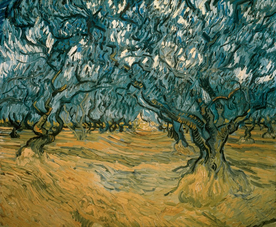 Vincent van Gogh, Olivenbäume (Kunst,Landschaft,Olivenhain,Impressionismus,Baum,Niederländische Kunst,Holländische Kunst,Olivenbaum,Olive,Ölpflanze,Landwirtschaft)