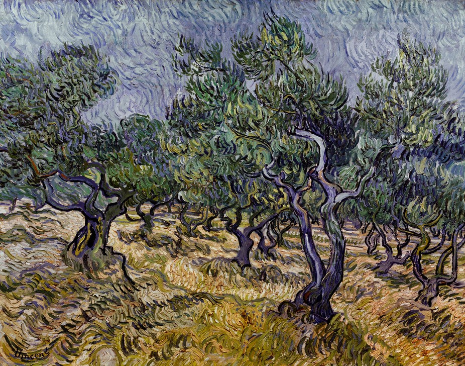 Vincent van Gogh, Olivenhain (Kunst,Landschaft,Olivenhain,Impressionismus,Baum,Niederländische Kunst,Holländische Kunst,Olivenbaum,Ölpflanze,Landwirtschaft)