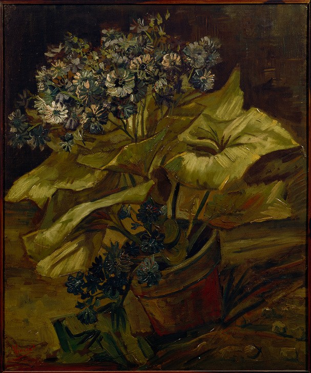Vincent van Gogh, Blumentopf mit Zinerarie (Kunst,Impressionismus,Stillleben,Topfpflanze,Niederländische Kunst,Holländische Kunst,Blume,Blumentopf,Zinerarie)