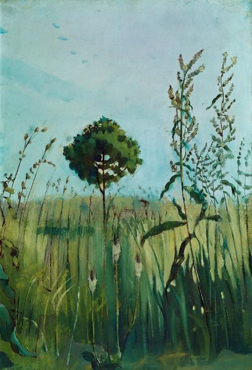 Ferdinand Hodler, Sumpf (Jugendstil,Kunst,Landschaft,Baum,Gras,Schweizerische Kunst,Sumpf)