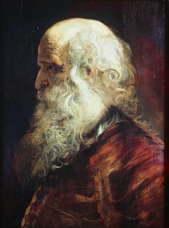 Peter Paul Rubens, Studienkopf eines Greises (Flämische Kunst,Lebensalter,Mann,Mensch,Alter,Bart,Barock,Glatze,Portrait,Greis,Studie,Niederländische Kunst,Kopfstudie,Alter Mann,Locke,Weisse Haare,Frisur)