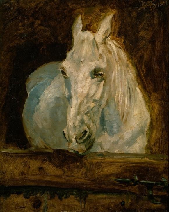 Henri de Toulouse-Lautrec, Le cheval blanc ‘Gazelle' (Kunst,Pferd (Tier),Zoologie,Französische Kunst,Kopf,Schimmel (Pferd))