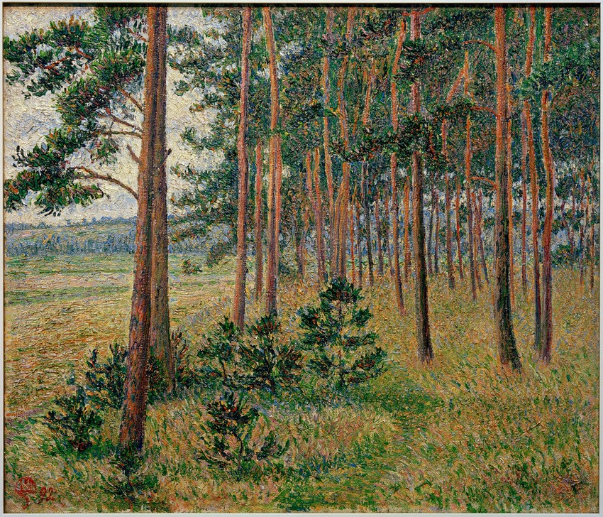Lucien Pissarro, Pinienwald (Botanik,Kunst,Landschaft,Wald,Impressionismus,Baum,Französische Kunst,Pinie,Lichtung,Nadelbaum)