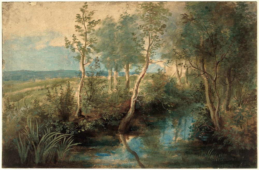 Peter Paul Rubens, Landscape with stream overhung with trees