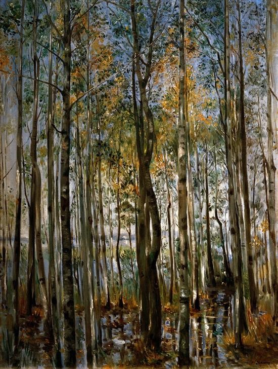 Lovis Corinth, Überschwemmung am Starnberger See (Deutsche Kunst,Hochwasser,Kunst,Landschaft,Wald,Impressionismus,Birke,Überschwemmung,Ufer,Birkenwald)