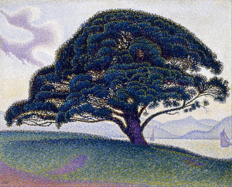 Paul Signac, The Bonaventure Pine (Landschaft,Impressionismus,Segelboot,Pointillismus,Kiefer (Baum),Baum,Französische Kunst)