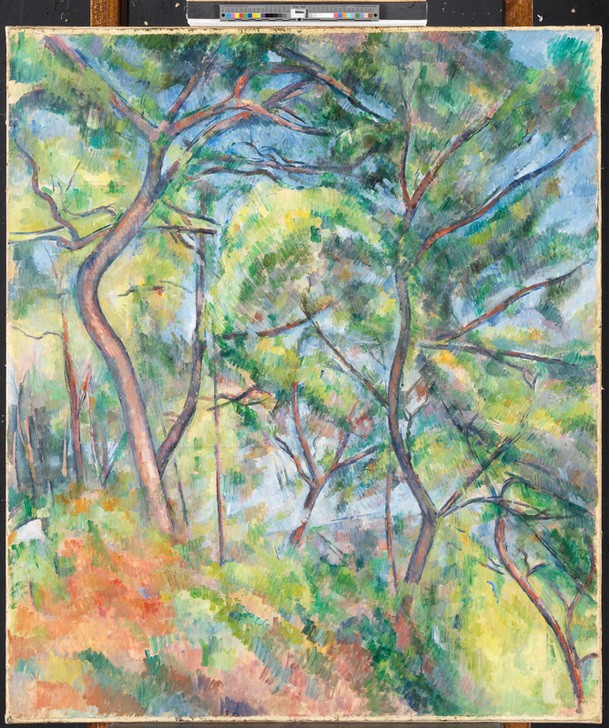 Paul Cézanne, Sous-Bois (Kunst,Baum)
