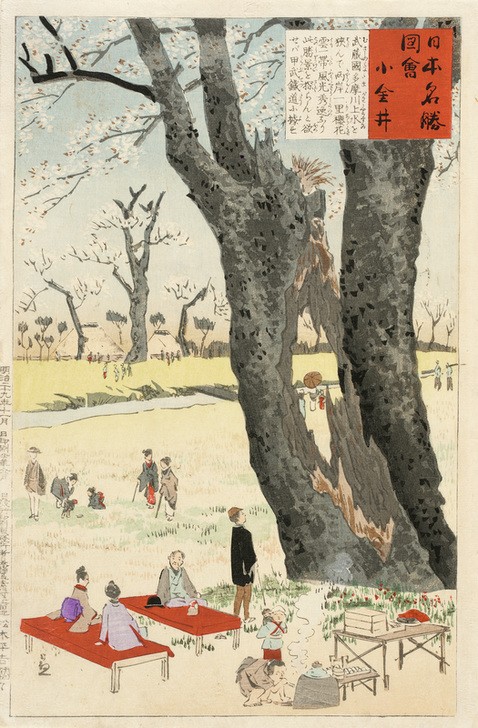 Kiyochika Kobayashi, Koganei, Kirschblüten  (Frühling, Kirschblüten, Fest, Kirschbäume, Holzschnitt, japanische Kunst, Asiatische Kunst, Klassiker, Wunschgröße, Treppenhaus, Wohnzimmer, bunt)