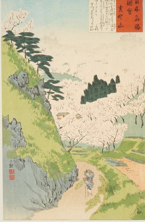 Kiyochika Kobayashi, Berg Yoshino, Kirschblüten  (Landschaft, Kirschblüte, Japan, Holzschnitt, japanische Kunst, Asiatische Kunst, Klassiker, Wunschgröße, Treppenhaus, Wohnzimmer, bunt)