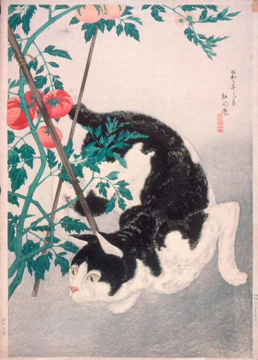 Takahashi Hiroaki, Katze mit Tomatenpflanze 