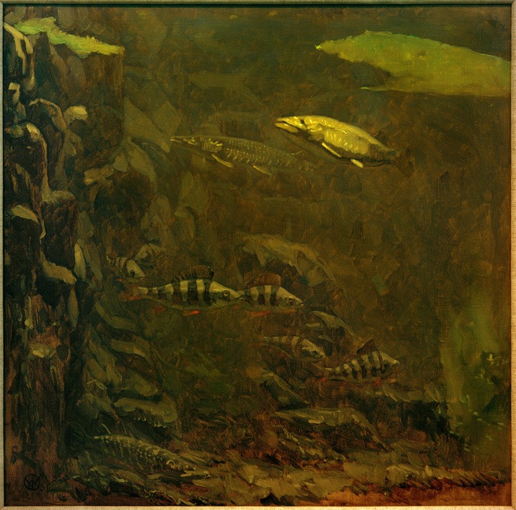 Gerrit Willem Dijsselhof, Hechte und Barsche (Biologie,Kunst,Zoologie,Fisch,Niederländische Kunst,Unterwasserwelt,Tier,Hecht,Streifen,Barsch,Ichthyologie,Süsswasserfisch)