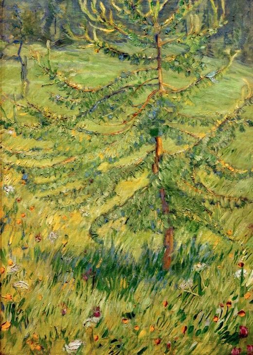 Franz Marc, Junge Lärche auf einer Waldwiese (Landschaft, Wald, Baum, Wiese, Lichtung, Lärche, Nadelbaum, abstrahiert, klassische Moderne, Expressionismus, Wohnzimmer, Treppenhaus, Wunschgröße)
