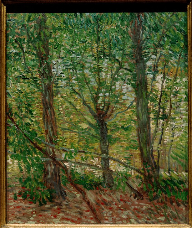 Vincent van Gogh, Bäume und Unterholz (Kunst,Landschaft,Wald,Impressionismus,Baum,Niederländische Kunst,Baumgruppe)