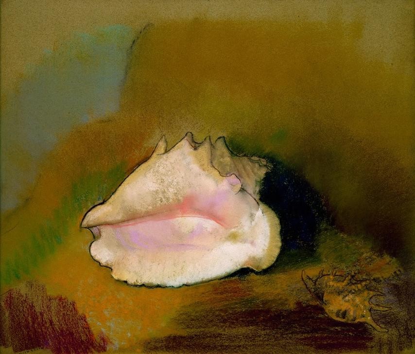Odilon Redon, Coquillage (Kunst,Zoologie,Symbolismus,Stillleben,Muschel,Französische Kunst,Tier,Schalentiere,Mollusken)
