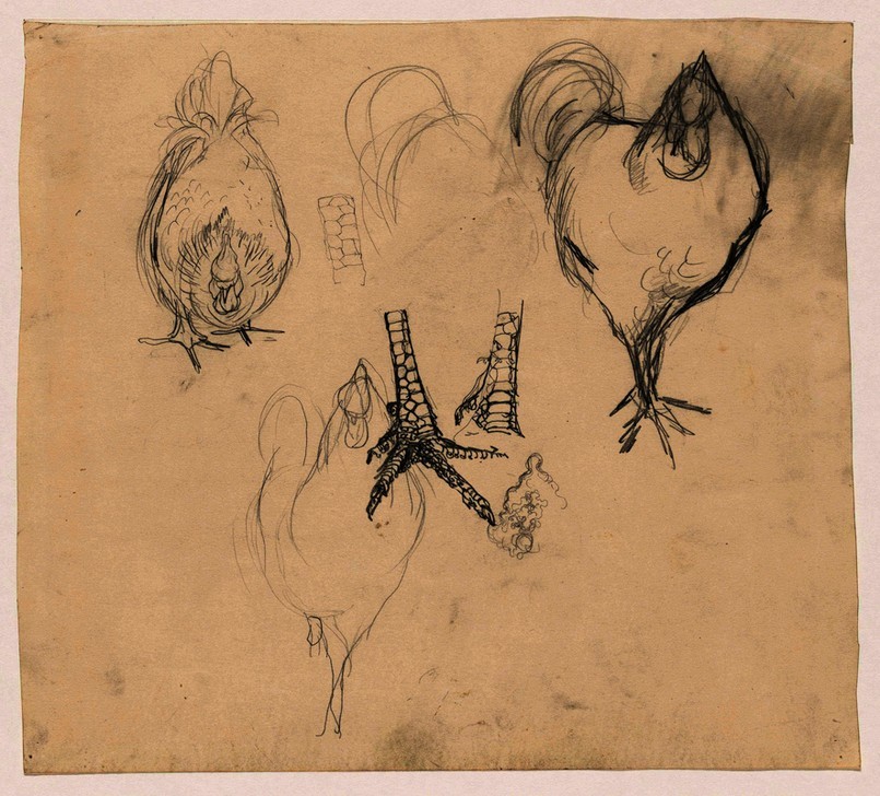 Jan Mankes, Studien eines Hahns und eines Huhns (Huhn,Niederländische Kunst,Papier,Hahn,Bleistift,Henne)