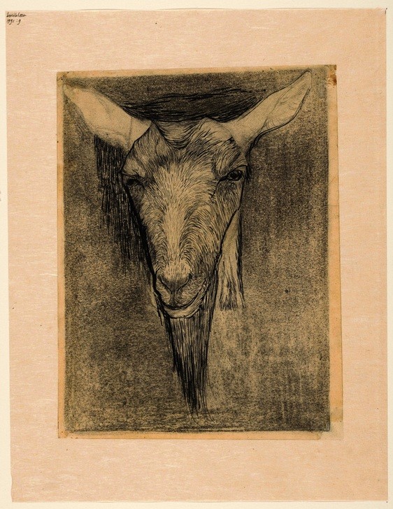 Jan Mankes, Kopf einer Ziege (Ziege,Kreide,Niederländische Kunst,Papier,Tinte,Kugelschreiber,Bleistift)