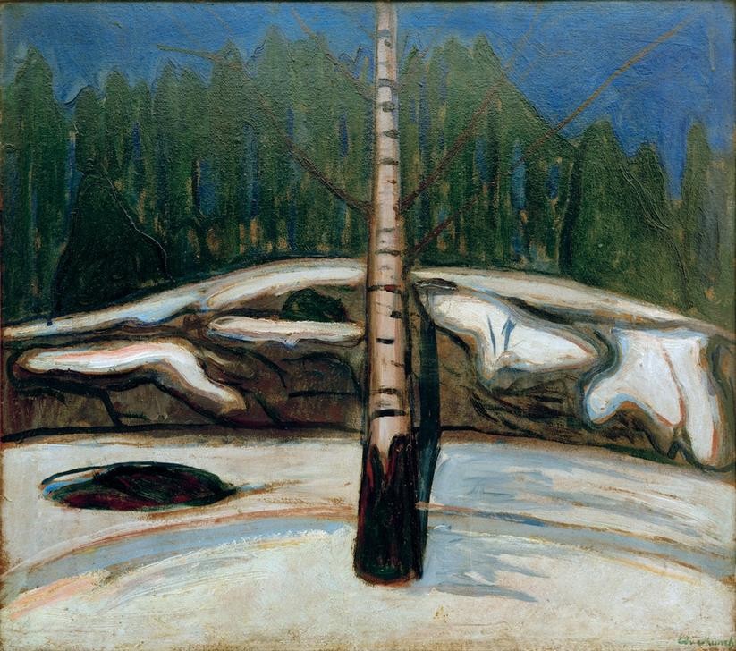 Edvard Munch, Die Birke im Schnee (Jahreszeiten,Kunst,Landschaft,Winter,Wald,Schnee,Birke,Baum,Expressionismus,Norwegische Kunst,Jahrhundertwende,Skandinavische Kunst,Privatsammlung,Baumstamm,Signatur)