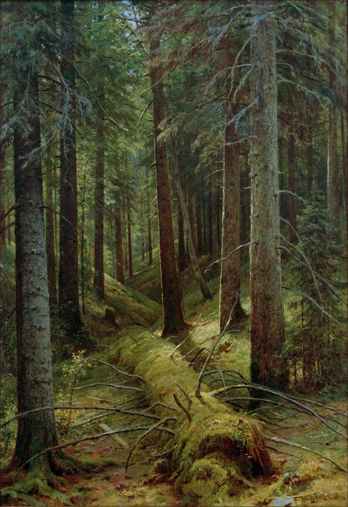 Iwan Schischkin, Im russischen Wald  (Wald, Bäume, Nadelbäume, Totholz, Natur, Naturalismus, Realismus, Klassische Moderne, Wunschgröße, Wohnzimmer)