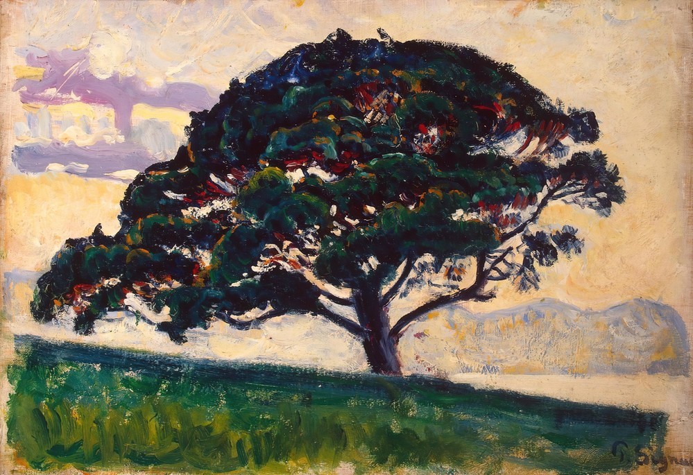 Paul Signac, Large Pine, Saint-Tropez (Landschaft,Öl,Impressionismus,Kiefer (Baum),Baum,Pinie,Europäische Kunst,Nadelbaum)