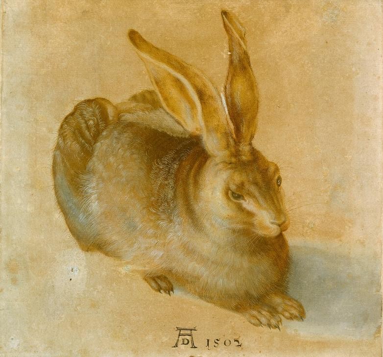 Albrecht Dürer, Junger Feldhase (Deutsche Kunst,Renaissance,Kopie,Hase,Naturstudie,Fälschung,Feldhase)
