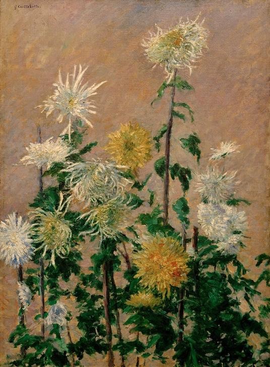 Gustave Caillebotte, Chrysanthèmes blancs et jaunes (Botanik,Chrysanthemum,Kunst,Impressionismus,Stillleben,Französische Kunst,Blume,Blüte,Privatsammlung)