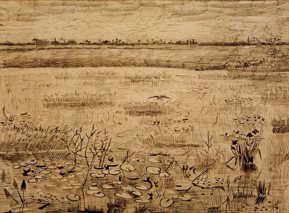 Vincent van Gogh, Sumpflandschaft mit Wasserlilien (Kunst,Landschaft,Impressionismus,Niederländische Kunst,Sumpf,Wasserlilie)