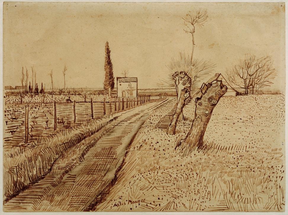 Vincent van Gogh, Landschaft mit Weg und Kopfweiden (Kunst,Landschaft,Impressionismus,Baum,Weg,Niederländische Kunst,Zypresse,Kopfweide)