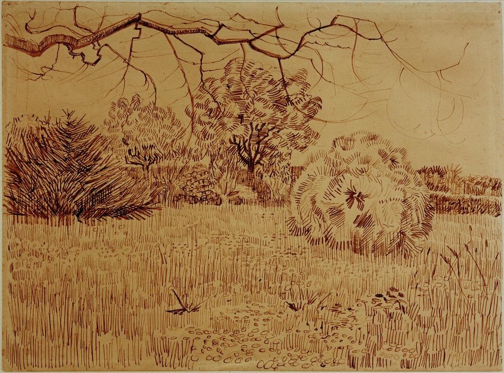 Vincent van Gogh, Park mit Strauch (Garten,  Park, Landschaft, Studie, Klassische Moderne, Impressionismus, Wohnzimmer, Treppenhaus, Wunschgröße,)
