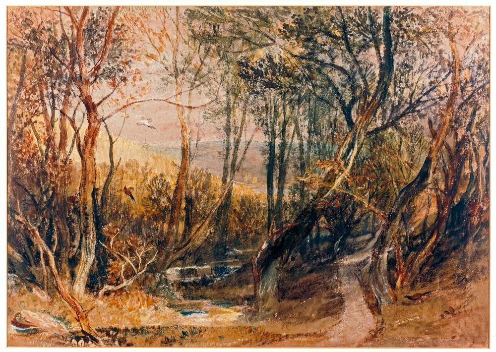 JOSEPH MALLORD WILLIAM TURNER, Woodland Scene