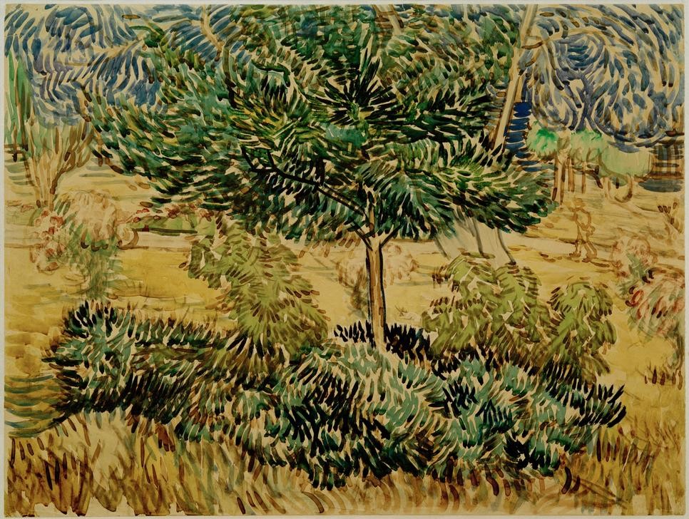 Vincent van Gogh, Baum und Sträucher im Garten der Heilanstalt (Garten und Park, Krankenhaus, Hausgarten, Hospital, Bäume,  Pflanzen, Klassische Moderne, Impressionismus, Wohnzimmer, Treppenhaus, Wunschgröße, bunt)