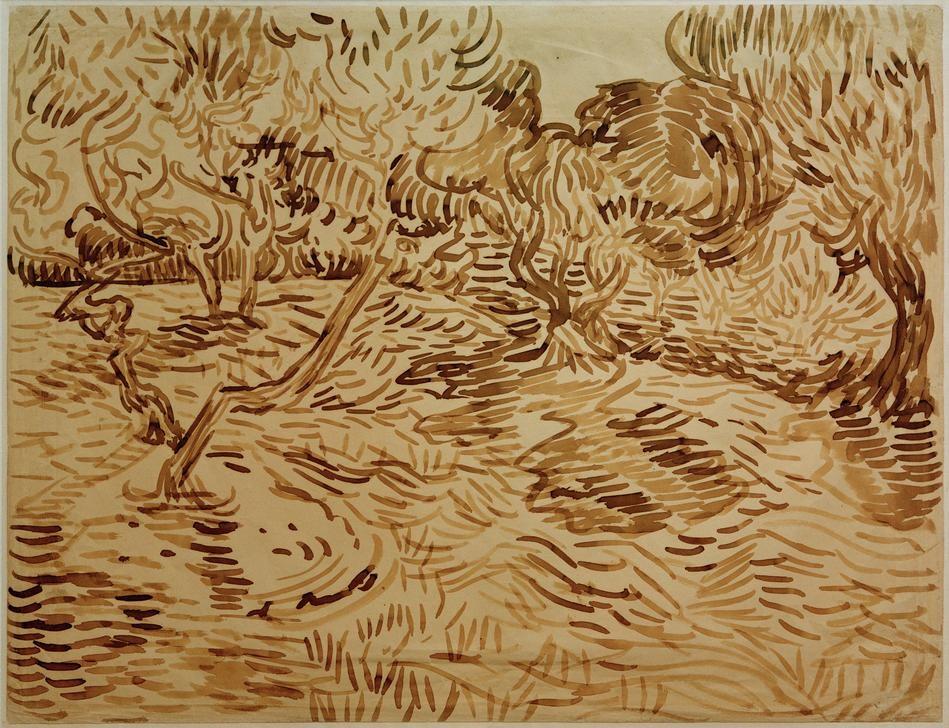 Vincent van Gogh, Olivenhain (Landschaft, mediterran, Oliven, Bäume, Zeichnung, Studie, Klassische Moderne, Impressionismus, Wohnzimmer, Treppenhaus, Wunschgröße,)