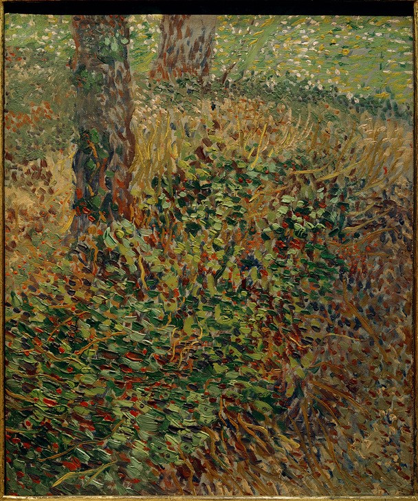 Vincent van Gogh, Unterholz (Natur, Getrüpp, Baumstamm,   Klassische Moderne, Impressionismus, Wohnzimmer, Treppenhaus, Wunschgröße, bunt)