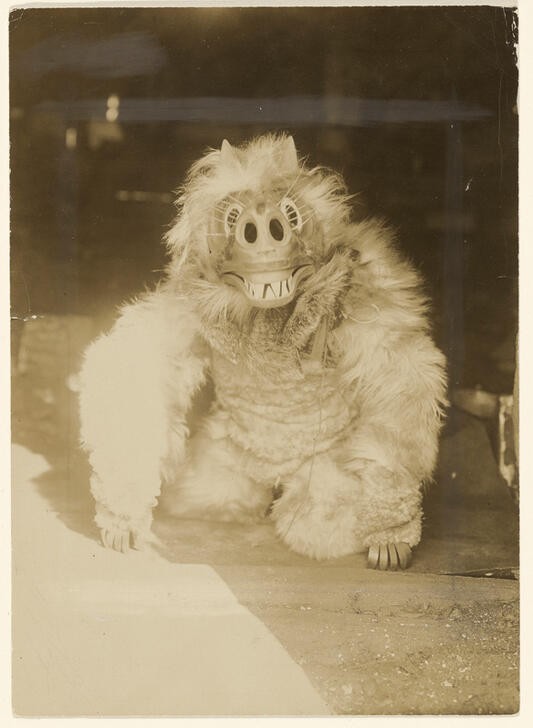 Edward S. Curtis, Unbekannt (VÖLKERKUNDE, WILDER WESTEN, INDIANER)