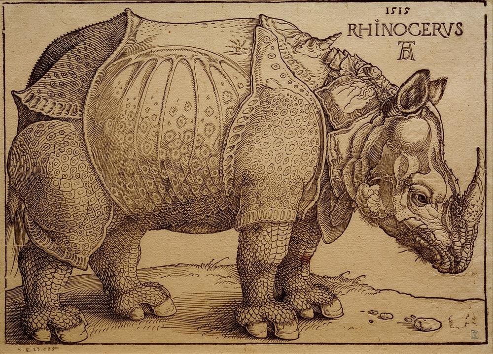 Albrecht Dürer, Das Rhinozeros (Biologie,Deutsche Kunst,Handschrift,Kunst,Nashorn,Naturwissenschaft,Zoologie,Wissenschaft,Renaissance,Tier,Schreibschrift,Deutsche Schreibschrift,Schrift)