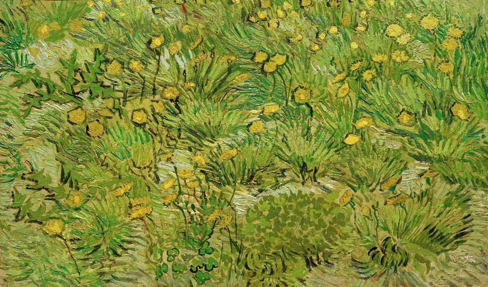Vincent van Gogh, Les pissenlits (Botanik, Pflanzen, Frühling,  Jahreszeiten, Natur,  Löwenzahn, Wiese, Gras, Klassische Moderne, Impressionismus, Wohnzimmer, Treppenhaus, Wunschgröße, grün)