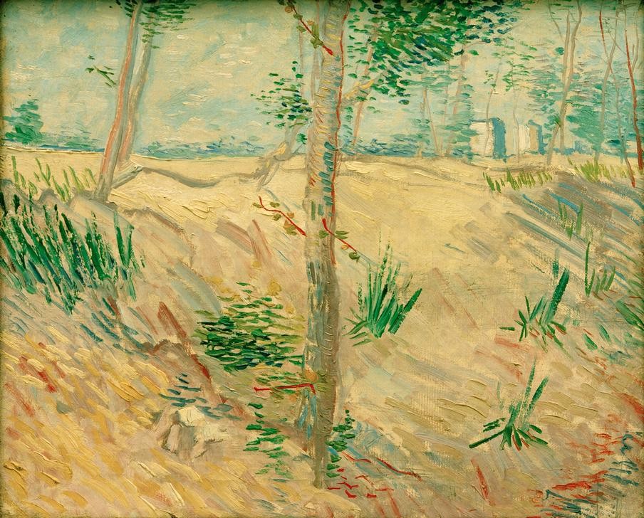 Vincent van Gogh, Baumstämme im Sonnenlicht (Landschaft, Sommer, Bäume, Licht, Klassische Moderne, Impressionismus, Wohnzimmer, Treppenhaus, Wunschgröße, bunt)