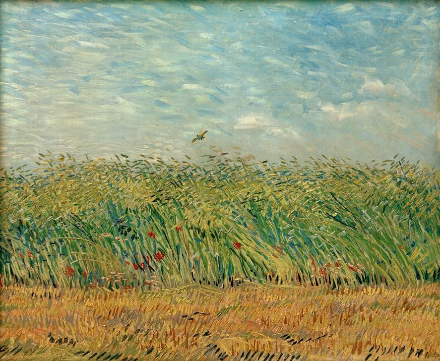 Vincent van Gogh, Getreidefeld mit Mohnblumen und Rebhuhn (Natur, Getreide, Landwirtschaft, Ackerbau, Botanik, Getreideanbau, Sommer,   Feld, Rebhuhn, Klassische Moderne, Impressionismus, Wohnzimmer, Treppenhaus, Wunschgröße, bunt)