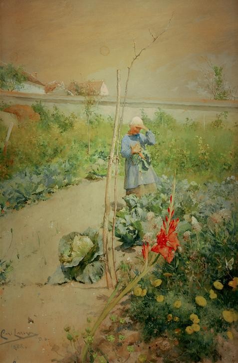 Carl Larsson, Im Küchengarten (Ernte,Frau,Garten Und Park,Gemüse,Gemüsegarten,Kohl,Schwedische Kunst,Mohrrübe,Landleben,Frauenleben,Blume,Landbevölkerung,Sonnenschein,Weisskohl,Gemüsebeet,Schwertlilie)