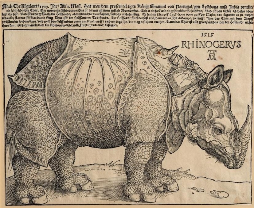 Albrecht Dürer, Rhinozeros (Deutsche Kunst,Nashorn,Zoologie,Renaissance,Flugblatt,Tier,Säugetier,Unpaarhufer)