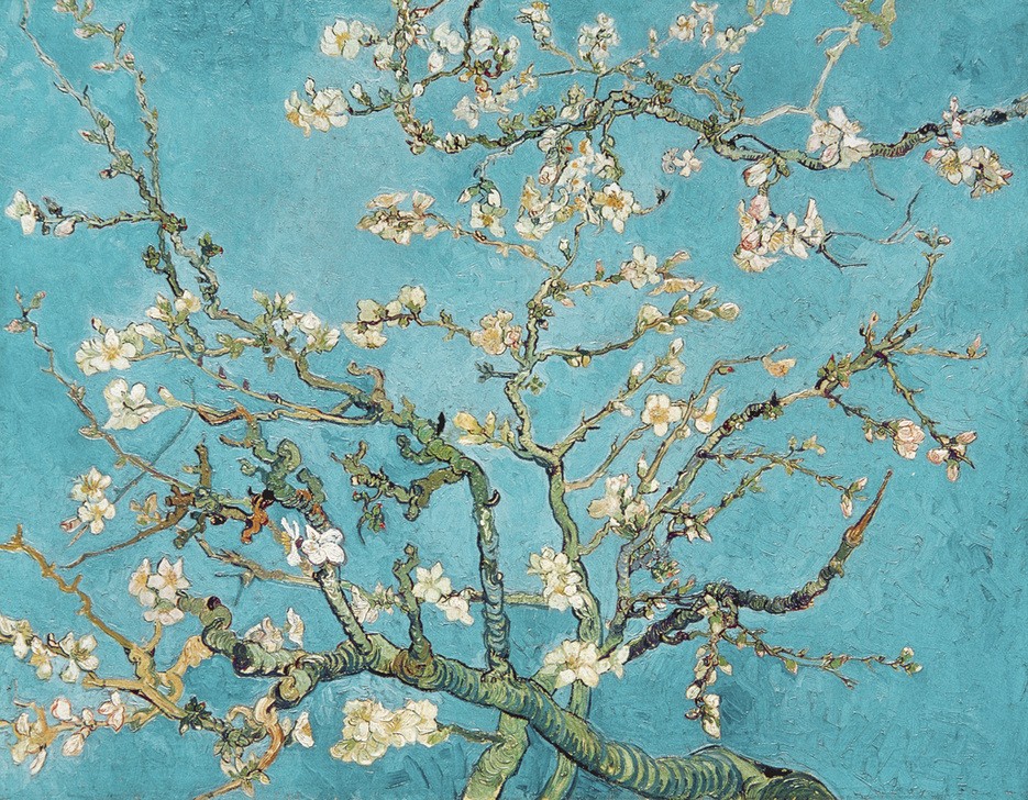 Vincent van Gogh, Mandelblüte (Mandel (Botanik),Frühling,Mandelbaum,Postimpressionismus)