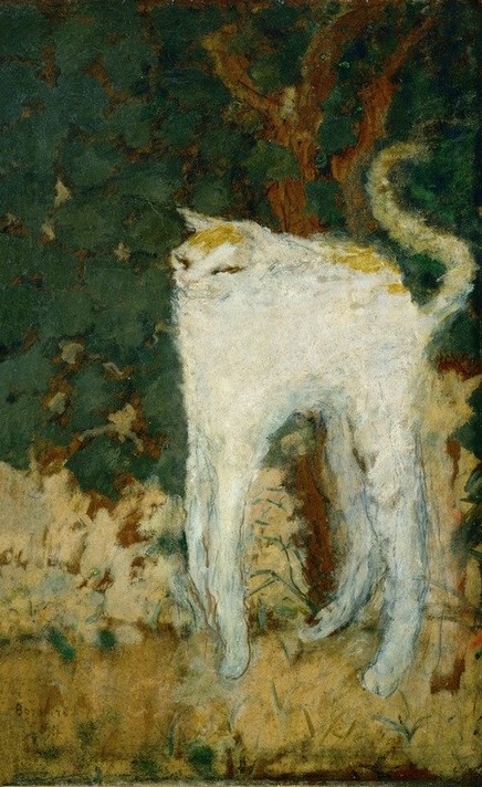 Pierre Bonnard, Le chat blanc (Katze, weiße Katze, Tier, Haustier, Buckel, Post-Impressionismus,  Wohnzimmer, Wunschgröße, Klassische Moderne,)