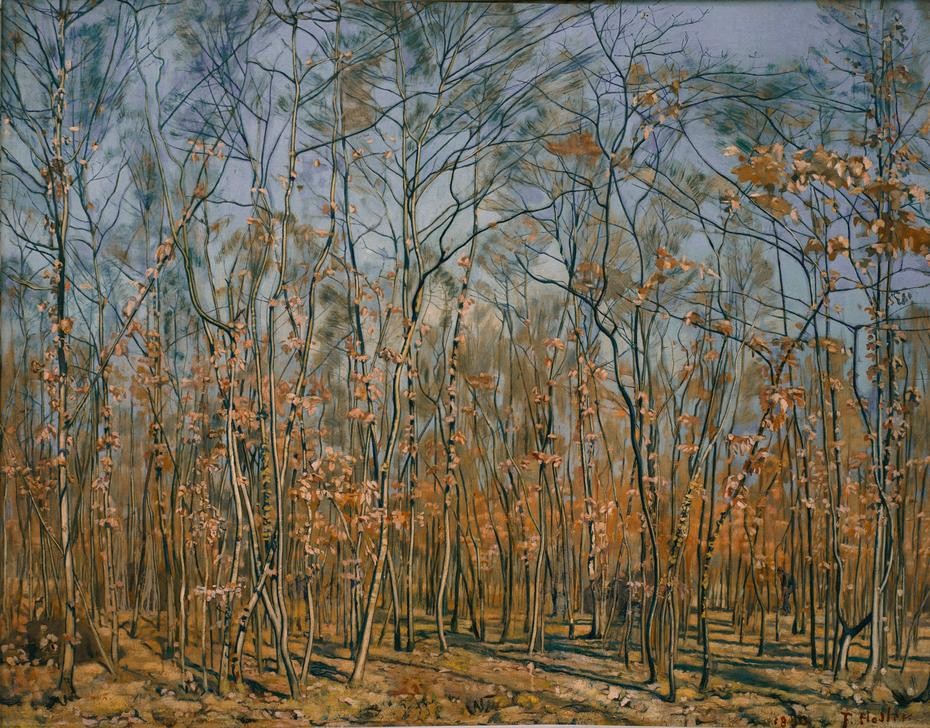Ferdinand Hodler, Der Buchwald (Landschaft,Wald,Laubwald,Frühling,Buche,Baum,Schweizerische Kunst,Laubbaum)
