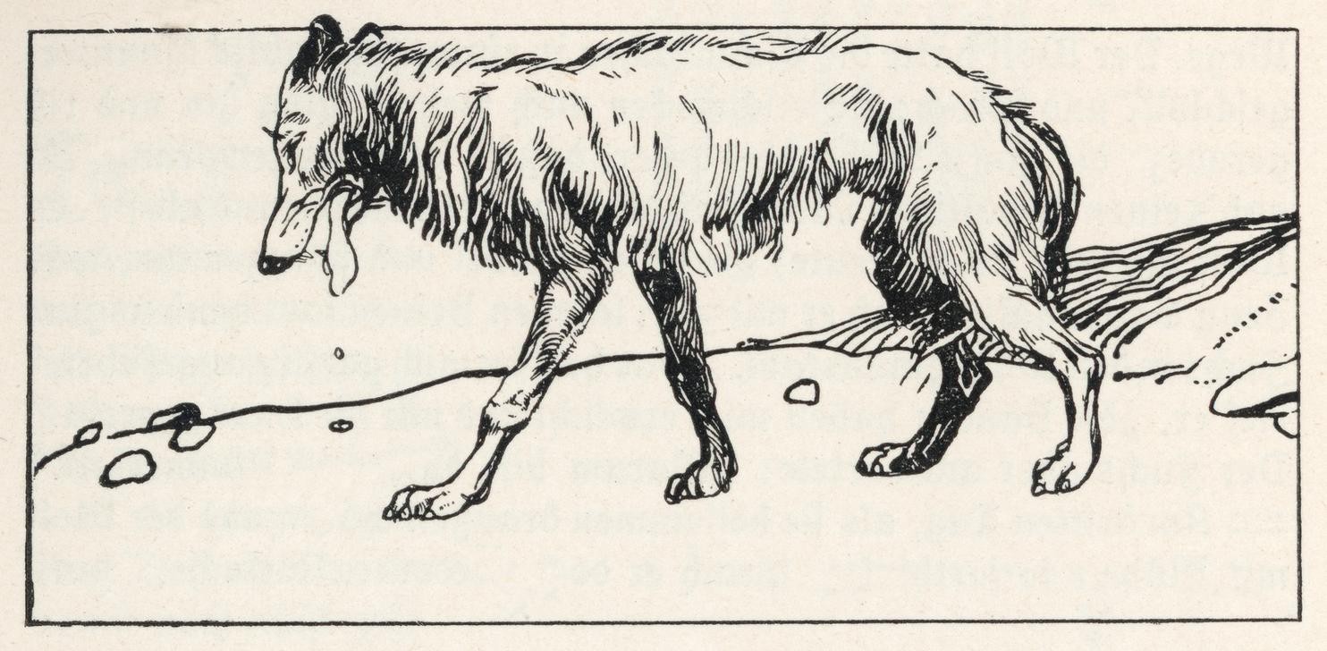 Carl Fahringer, Unbekannt (KINDER- UND JUGENDBUCH, LITERATUR, MÄRCHEN, WOLF, MORAL, ÖSTERREICHISCHE KUNST, ILLUSTRATION, TIER, BUCHILLUSTRATION, SAMMLUNG GERLACH & WIEDLING, PERSON, SYMBOLIK)
