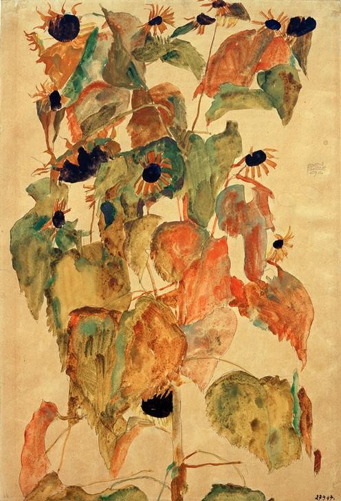 Egon Schiele, Sonnenblumen (Botanik,Kunst,Sonnenblume,Expressionismus,Österreichische Kunst,Blume)