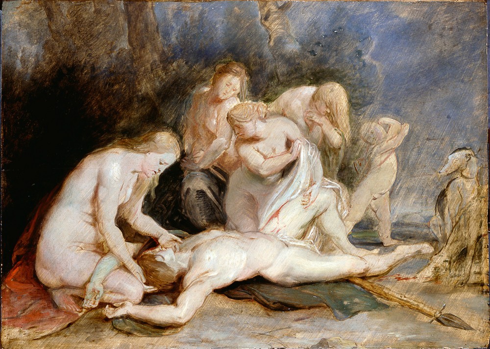 Peter Paul Rubens, Venus betrauert Adonis (Flämische Kunst,Frau,Jäger,Jagd,Kunst,Leiche,Liebe,Liebespaar,Mann,Mythologie,Tod,Nymphe,Trauer,Barock,Akt,Totenklage,Speer,Jüngling,Jagdunfall,Jagdhund,Götterliebschaften,Niederländische Kunst,Entwurf,Griechisch-Römische Mythologie,Eberjagd,Junger Mann)