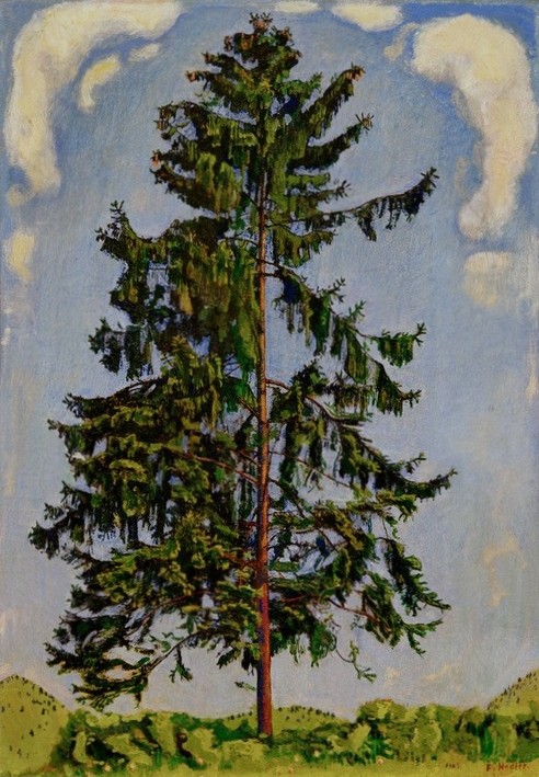 Ferdinand Hodler, Tanne bei Chamby (Botanik,Jugendstil,Landschaft,Tanne,Baum,Schweizerische Kunst,Solitär (Baum))
