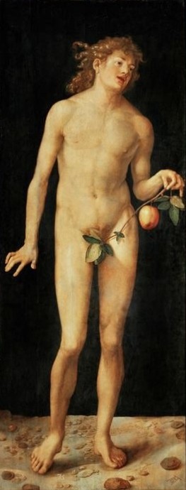 Albrecht Dürer, Adam (Apfel,Früchte,Renaissance,Altes Testament,Akt,Sündenfall,Bibel,Paradies,Versuchung,Baum Der Erkenntnis,Feigenblatt,Genesis,Jüdisch-Christlich)